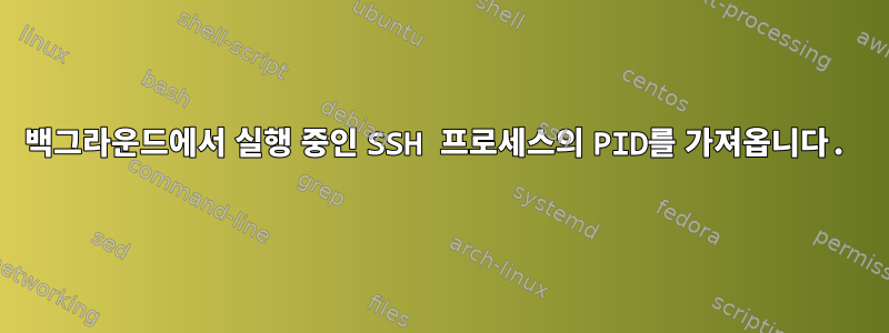 백그라운드에서 실행 중인 SSH 프로세스의 PID를 가져옵니다.