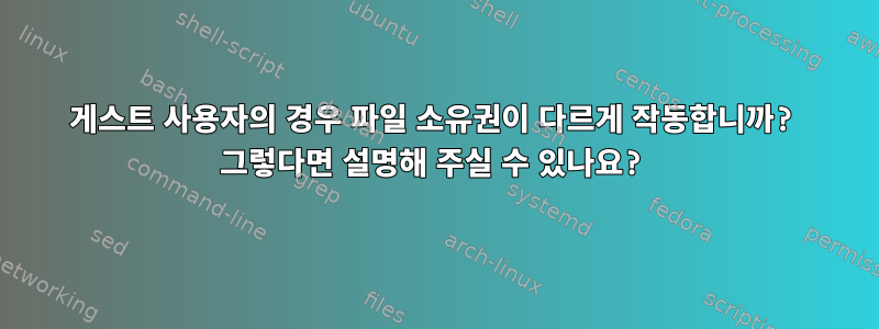 게스트 사용자의 경우 파일 소유권이 다르게 작동합니까? 그렇다면 설명해 주실 수 있나요?