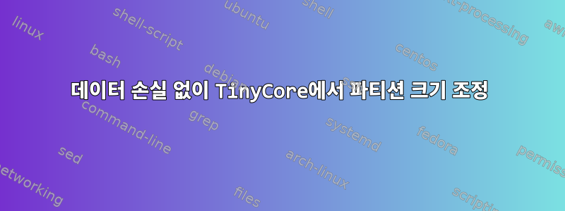 데이터 손실 없이 TinyCore에서 파티션 크기 조정