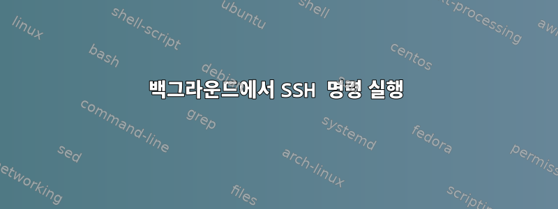 백그라운드에서 SSH 명령 실행