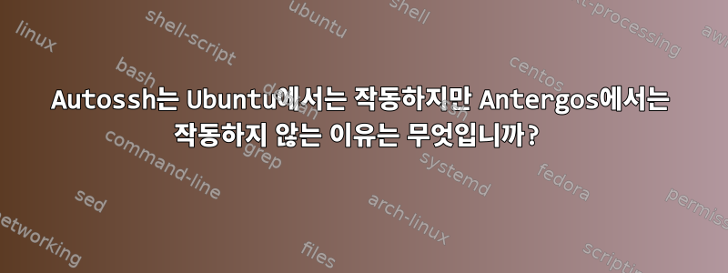 Autossh는 Ubuntu에서는 작동하지만 Antergos에서는 작동하지 않는 이유는 무엇입니까?