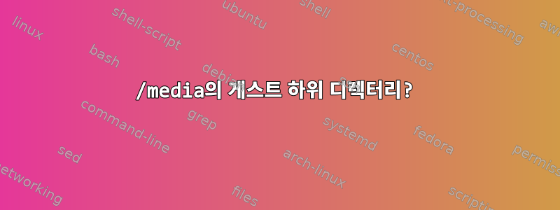 /media의 게스트 하위 디렉터리?