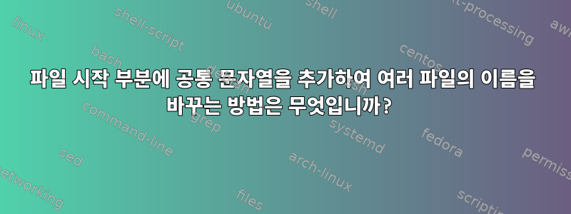 파일 시작 부분에 공통 문자열을 추가하여 여러 파일의 이름을 바꾸는 방법은 무엇입니까?