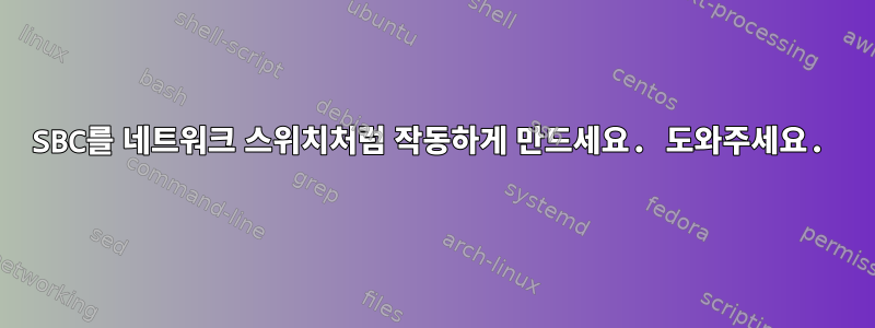 SBC를 네트워크 스위치처럼 작동하게 만드세요. 도와주세요.