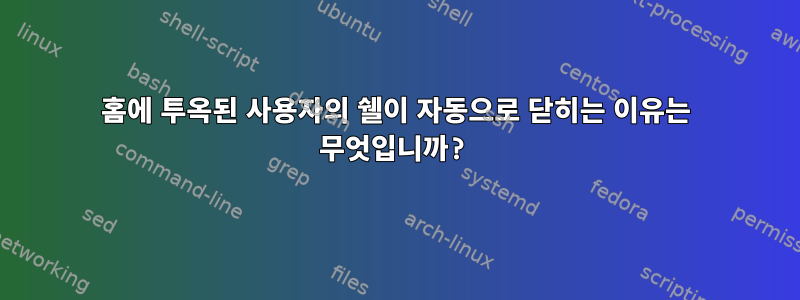 777홈에 투옥된 사용자의 쉘이 자동으로 닫히는 이유는 무엇입니까?