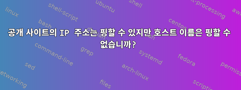 공개 사이트의 IP 주소는 핑할 수 있지만 호스트 이름은 핑할 수 없습니까?