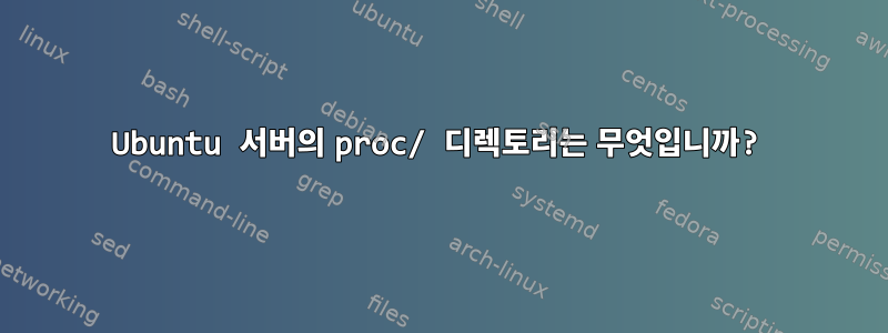 Ubuntu 서버의 proc/ 디렉토리는 무엇입니까?