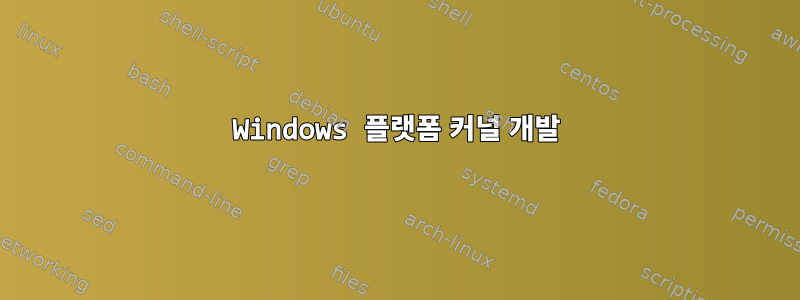 Windows 플랫폼 커널 개발