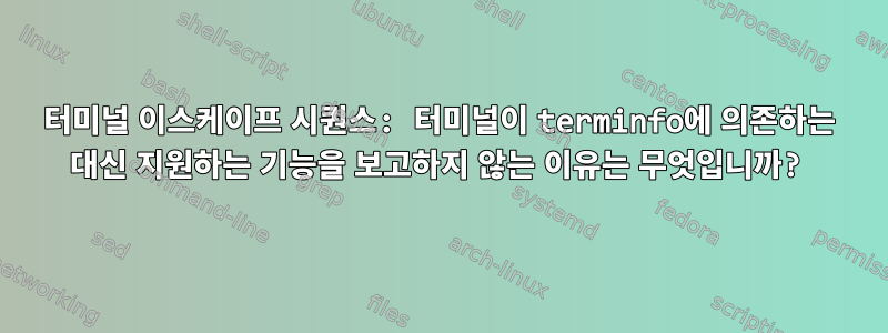 터미널 이스케이프 시퀀스: 터미널이 terminfo에 의존하는 대신 지원하는 기능을 보고하지 않는 이유는 무엇입니까?