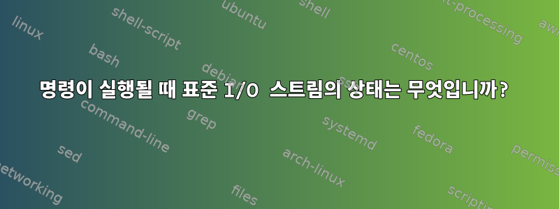 명령이 실행될 때 표준 I/O 스트림의 상태는 무엇입니까?