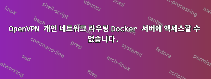 OpenVPN 개인 네트워크 라우팅 Docker 서버에 액세스할 수 없습니다.