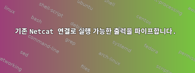 기존 Netcat 연결로 실행 가능한 출력을 파이프합니다.