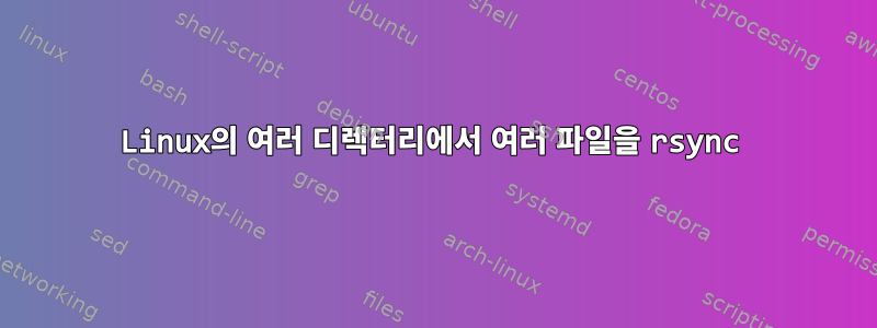 Linux의 여러 디렉터리에서 여러 파일을 rsync