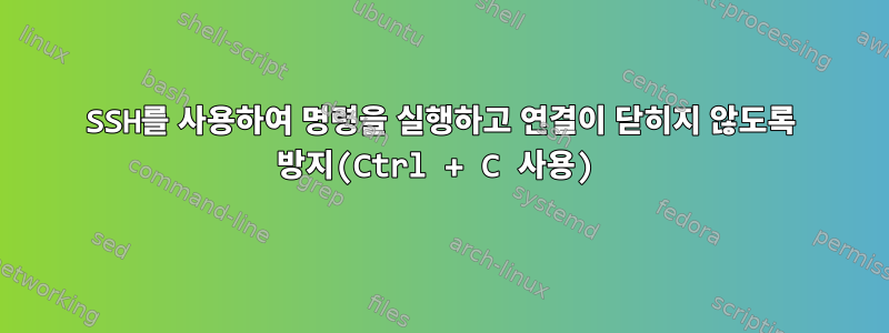 SSH를 사용하여 명령을 실행하고 연결이 닫히지 않도록 방지(Ctrl + C 사용)