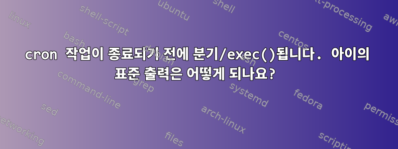 cron 작업이 종료되기 전에 분기/exec()됩니다. 아이의 표준 출력은 어떻게 되나요?