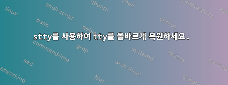 stty를 사용하여 tty를 올바르게 복원하세요.