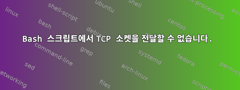 Bash 스크립트에서 TCP 소켓을 전달할 수 없습니다.