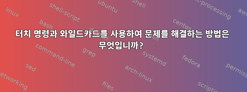 터치 명령과 와일드카드를 사용하여 문제를 해결하는 방법은 무엇입니까?