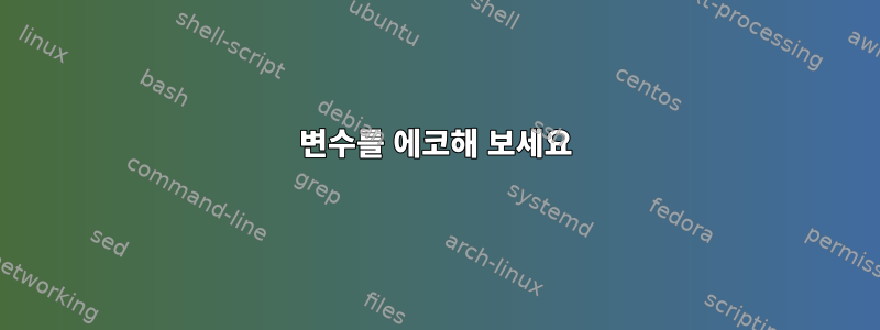 변수를 에코해 보세요