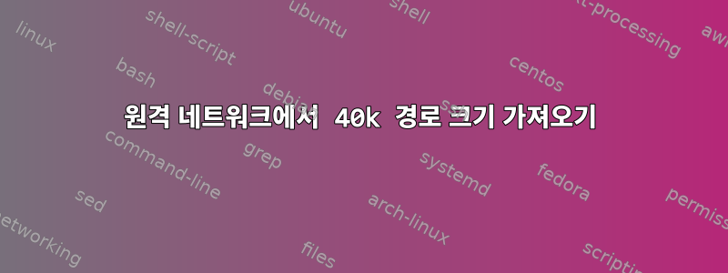 원격 네트워크에서 40k 경로 크기 가져오기