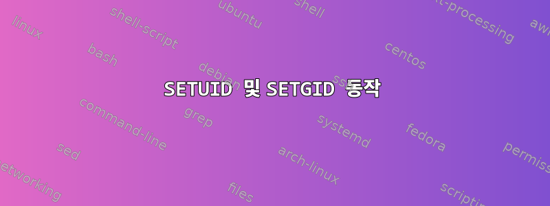 SETUID 및 SETGID 동작