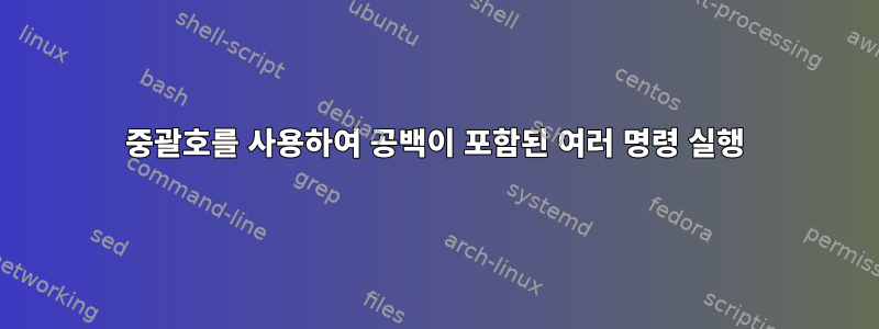 중괄호를 사용하여 공백이 포함된 여러 명령 실행