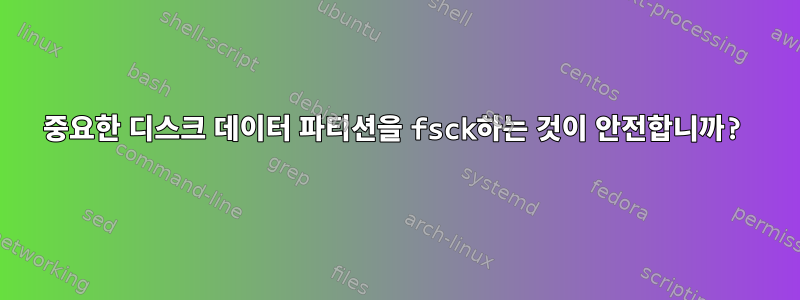 중요한 디스크 데이터 파티션을 fsck하는 것이 안전합니까?