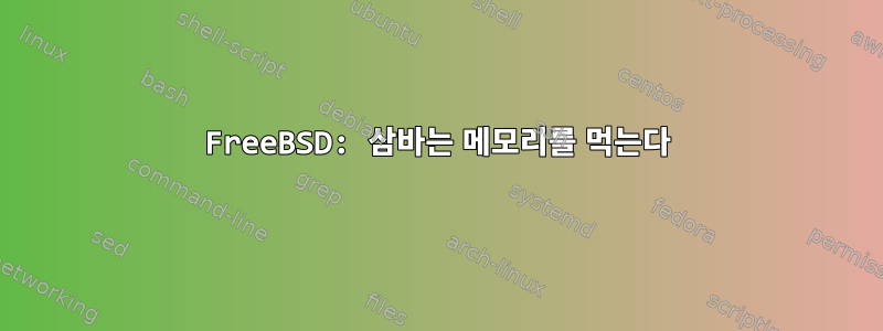 FreeBSD: 삼바는 메모리를 먹는다