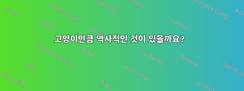 고양이만큼 역사적인 것이 있을까요?