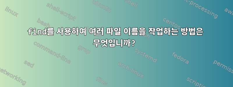 find를 사용하여 여러 파일 이름을 작업하는 방법은 무엇입니까?