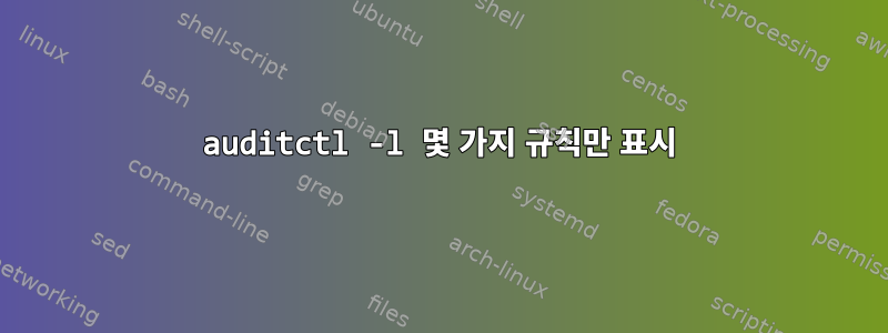 auditctl -l 몇 가지 규칙만 표시