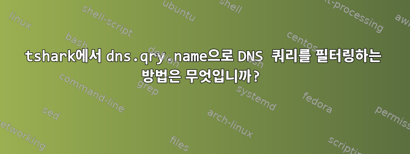 tshark에서 dns.qry.name으로 DNS 쿼리를 필터링하는 방법은 무엇입니까?