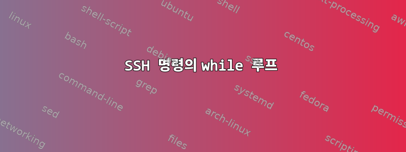 SSH 명령의 while 루프