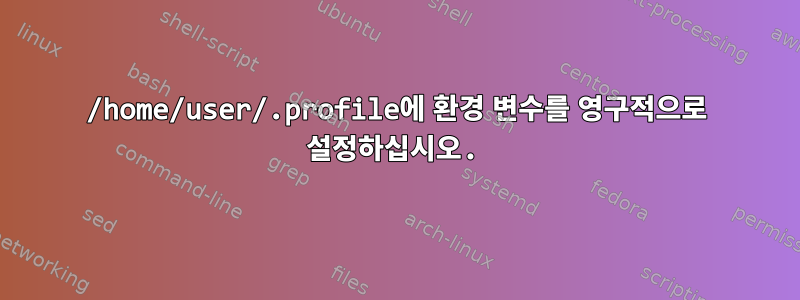 /home/user/.profile에 환경 변수를 영구적으로 설정하십시오.