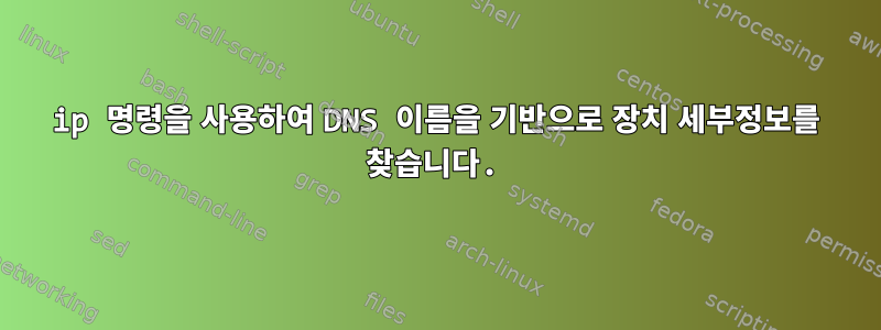 ip 명령을 사용하여 DNS 이름을 기반으로 장치 세부정보를 찾습니다.