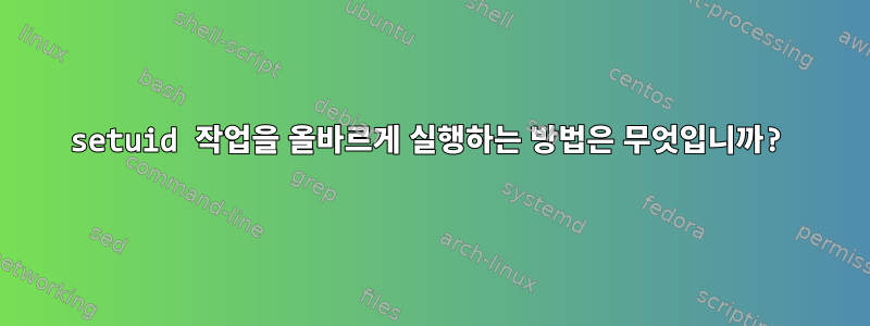 setuid 작업을 올바르게 실행하는 방법은 무엇입니까?