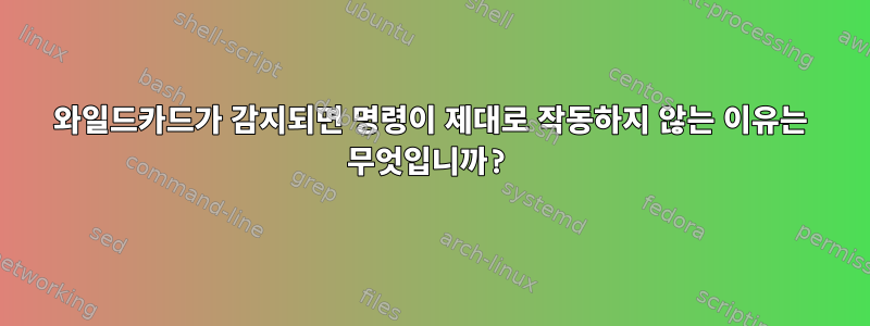 와일드카드가 감지되면 명령이 제대로 작동하지 않는 이유는 무엇입니까?