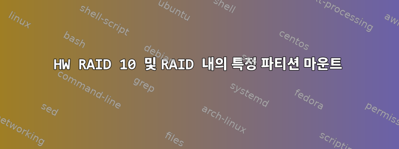 HW RAID 10 및 RAID 내의 특정 파티션 마운트