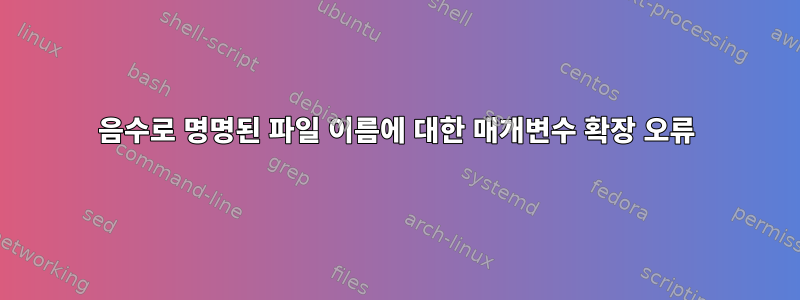 음수로 명명된 파일 이름에 대한 매개변수 확장 오류