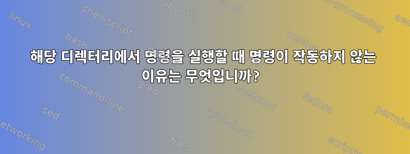 해당 디렉터리에서 명령을 실행할 때 명령이 작동하지 않는 이유는 무엇입니까?