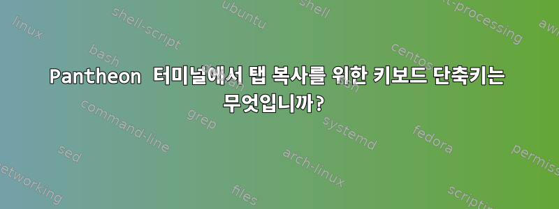 Pantheon 터미널에서 탭 복사를 위한 키보드 단축키는 무엇입니까?