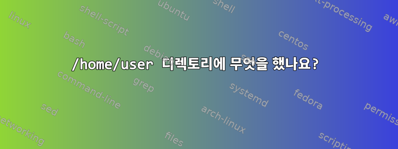 /home/user 디렉토리에 무엇을 했나요?