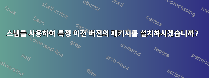 스냅을 사용하여 특정 이전 버전의 패키지를 설치하시겠습니까?