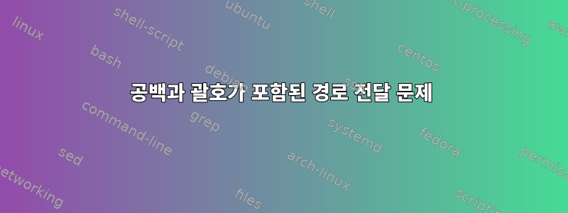 공백과 괄호가 포함된 경로 전달 문제