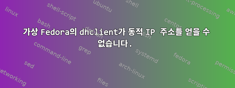 가상 Fedora의 dhclient가 동적 IP 주소를 얻을 수 없습니다.