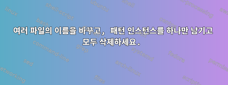 여러 파일의 이름을 바꾸고, 패턴 인스턴스를 하나만 남기고 모두 삭제하세요.