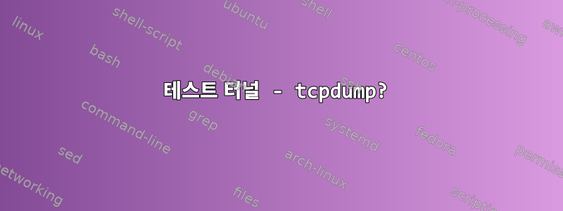 테스트 터널 - tcpdump?