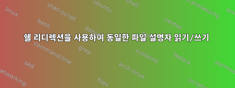 쉘 리디렉션을 사용하여 동일한 파일 설명자 읽기/쓰기