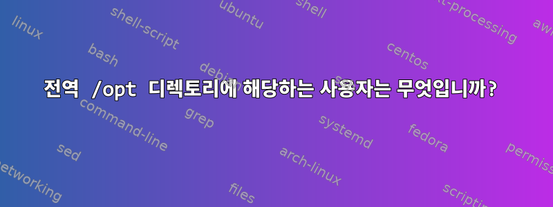 전역 /opt 디렉토리에 해당하는 사용자는 무엇입니까?