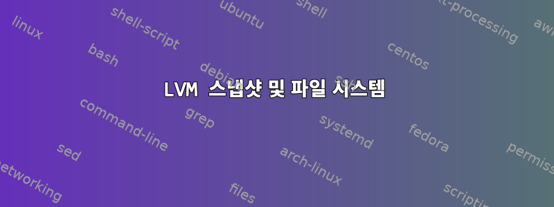 LVM 스냅샷 및 파일 시스템